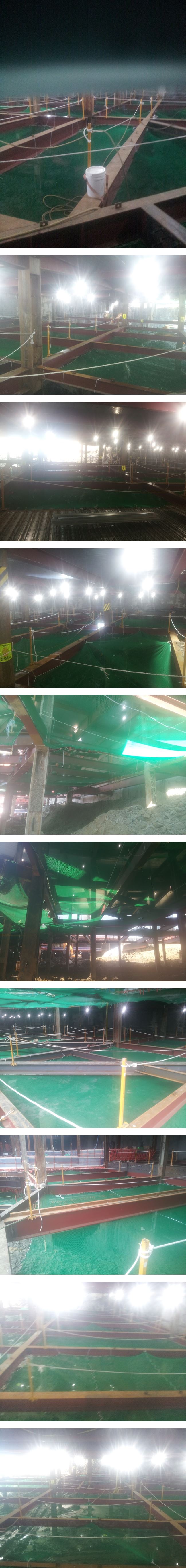 4-20130507_155619-vert.jpg